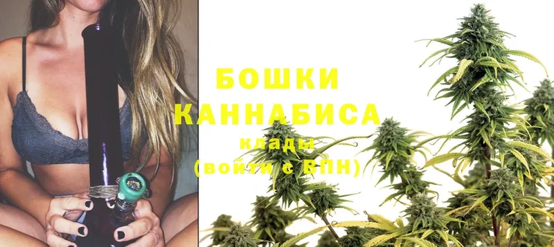 Канабис SATIVA & INDICA  хочу   Советский 